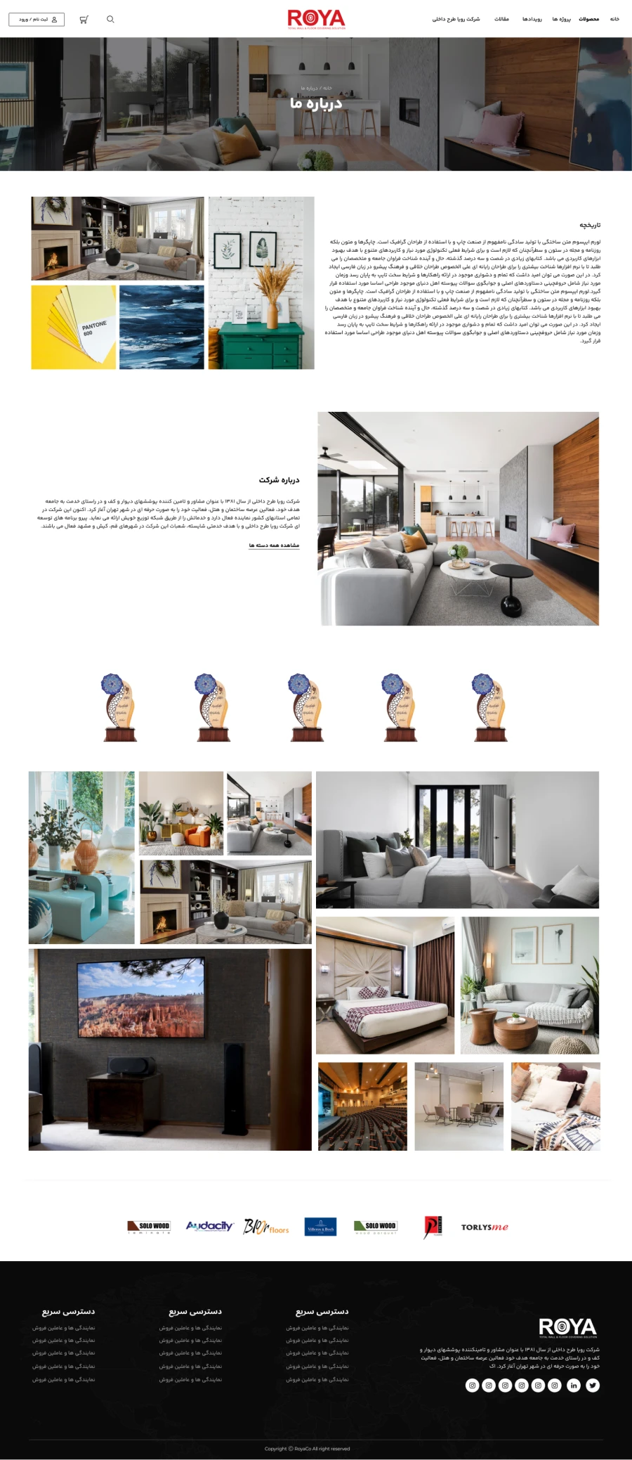 طراحی رابط کاربری فروشگاه رویاکو