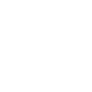 با فقط 25 میلیون فروشگاه اینترنتی داشته باش!