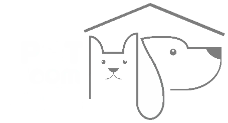 فروشگاه اینترنتی پت روم