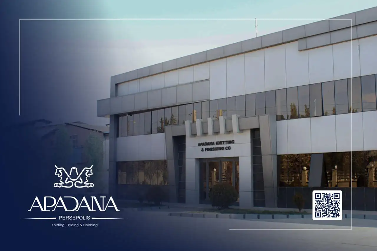 نمونه کارها