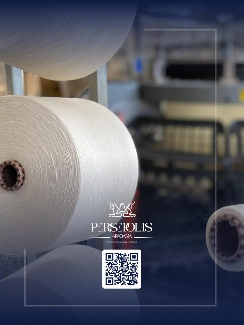 نمونه کارها