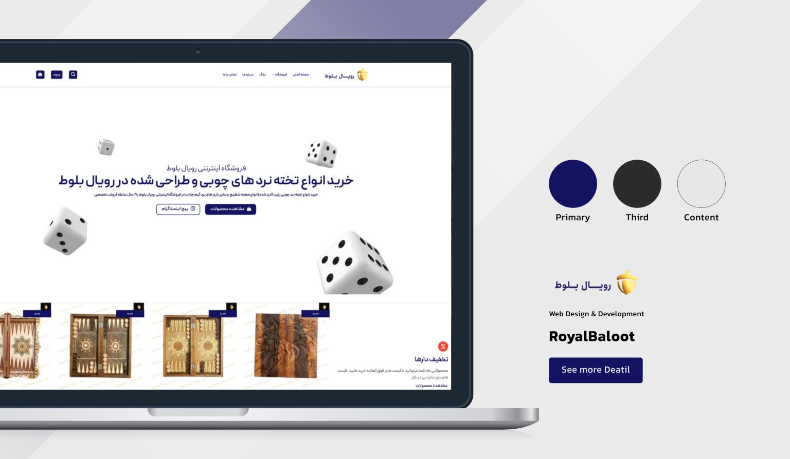 نمونه کارها